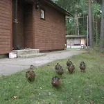 Lomasaaret Villala