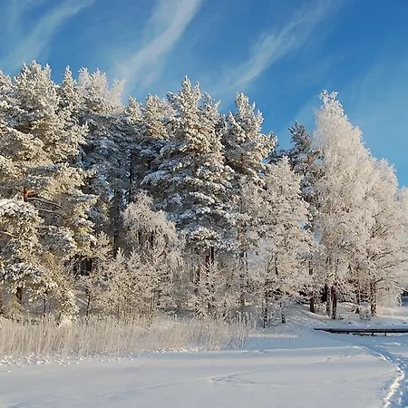 Lomasaaret וילה *