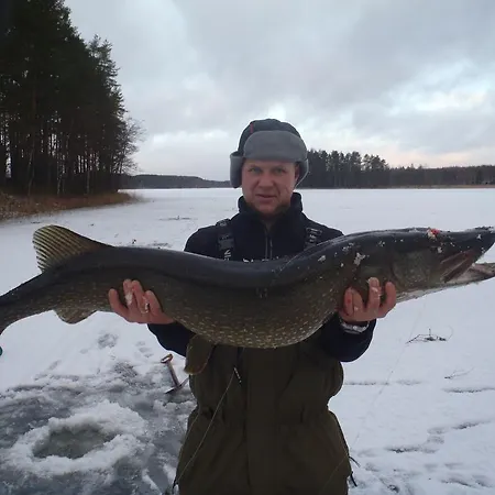 Lomasaaret וילה *