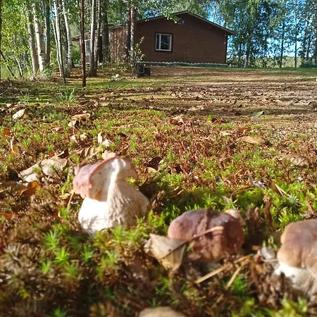 Lomasaaret Villa