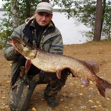 Lomasaaret Villa Villala